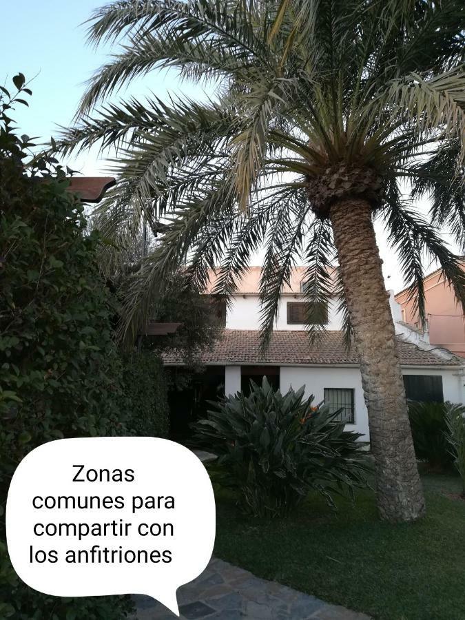 شقة Sun & Palm Trees Balsares المظهر الخارجي الصورة